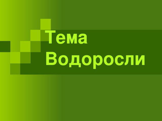 Тема Водоросли 
