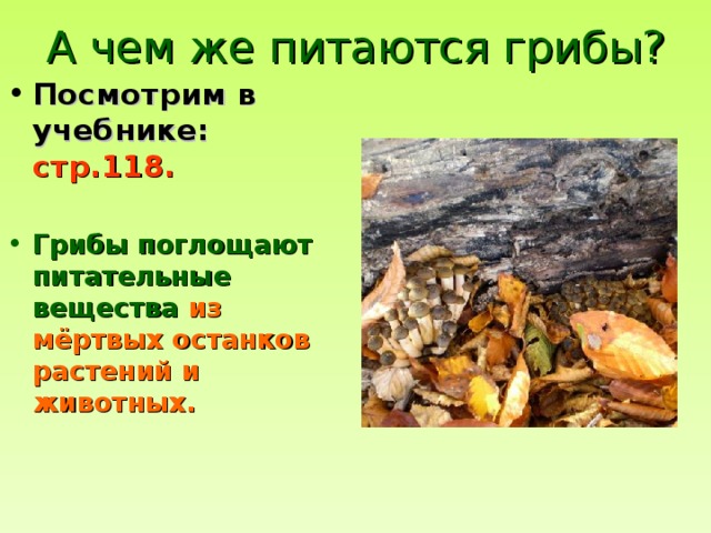 А чем же питаются грибы? Посмотрим в учебнике: стр.118.  Грибы поглощают питательные вещества из мёртвых останков растений и животных.  