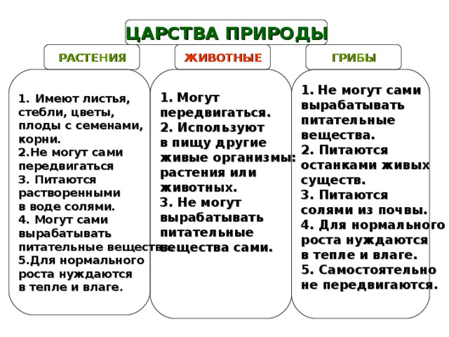 Имеют листья, стебли, цветы, плоды с семенами, корни. 2.Не могут сами передвигаться 3. Питаются растворенными в воде солями. 4. Могут сами вырабатывать питательные вещества. 5.Для нормального роста нуждаются в тепле и влаге. Могут передвигаться. 2. Используют в пищу другие живые организмы: растения или животных. 3. Не могут вырабатывать питательные вещества сами.    Не могут сами вырабатывать питательные вещества. 2. Питаются останками живых существ. 3. Питаются солями из почвы. 4. Для нормального роста нуждаются в тепле и влаге. 5. Самостоятельно не передвигаются .  ЦАРСТВА ПРИРОДЫ РАСТЕНИЯ ЖИВОТНЫЕ ГРИБЫ 