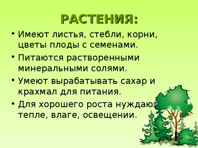 РАСТЕНИЯ: Имеют листья, стебли, корни, цветы плоды с семенами. Питаются растворенными минеральными солями. Умеют вырабатывать сахар и крахмал для питания. Для хорошего роста нуждаются в тепле, влаге, освещении. 