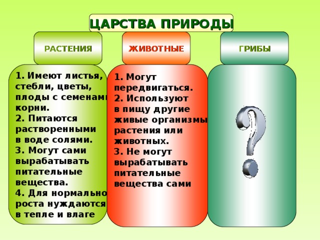 Имеют листья, стебли, цветы, плоды с семенами, корни. 2. Питаются растворенными в воде солями. 3. Могут сами вырабатывать питательные вещества. 4. Для нормального роста нуждаются в тепле и влаге Могут передвигаться. 2. Используют в пищу другие живые организмы: растения или животных. 3. Не могут вырабатывать питательные вещества сами    ЦАРСТВА ПРИРОДЫ РАСТЕНИЯ ЖИВОТНЫЕ ГРИБЫ 