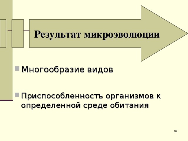 Результат микроэволюции Многообразие видов Приспособленность организмов к определенной среде обитания   