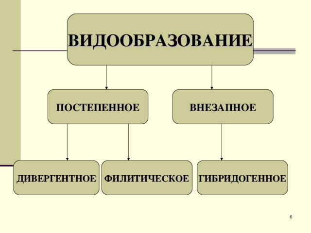 ВИДООБРАЗОВАНИЕ ПОСТЕПЕННОЕ ВНЕЗАПНОЕ ДИВЕРГЕНТНОЕ ФИЛИТИЧЕСКОЕ ГИБРИДОГЕННОЕ  