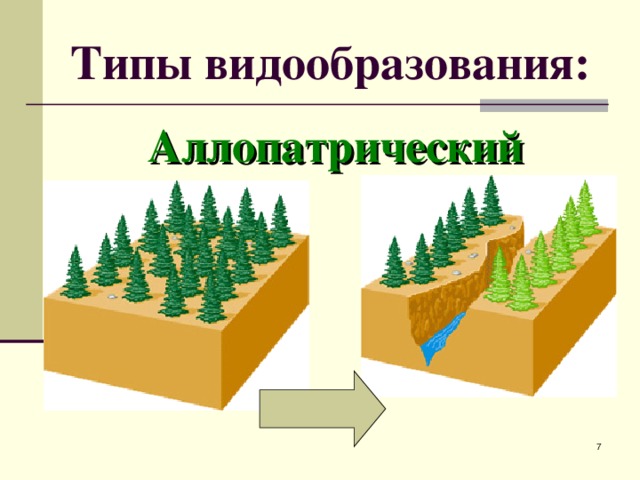 Типы видообразования: Аллопатрический  