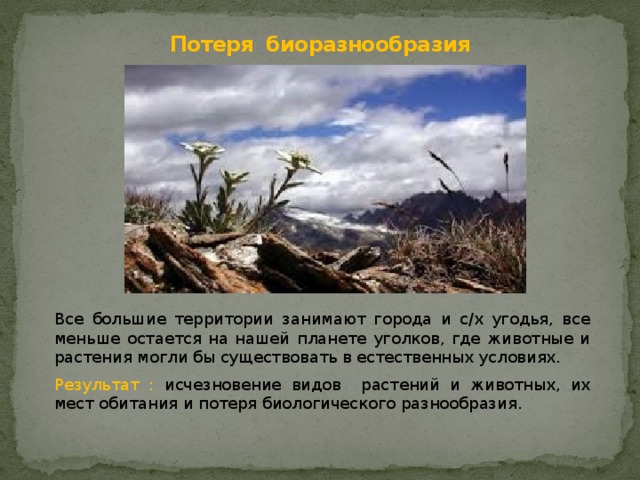 Потеря биоразнообразия Все большие территории занимают города и с/х угодья, все меньше остается на нашей планете уголков, где животные и растения могли бы существовать в естественных условиях. Результат : исчезновение видов растений и животных, их мест обитания и потеря биологического разнообразия. 