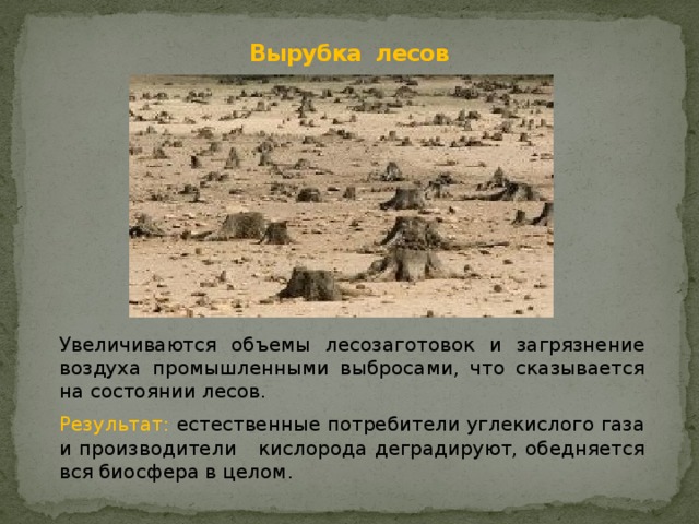 Вырубка лесов Увеличиваются объемы лесозаготовок и загрязнение воздуха промышленными выбросами, что сказывается на состоянии лесов. Результат:  естественные потребители углекислого газа и производители кислорода деградируют, обедняется вся биосфера в целом.  