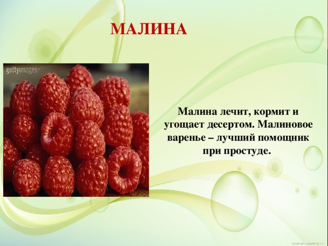 МАЛИНА Малина лечит, кормит и угощает десертом. Малиновое варенье – лучший помощник при простуде. 