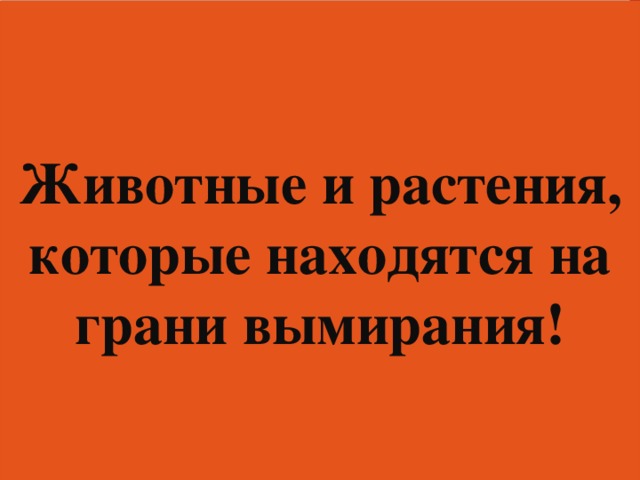   Животные и растения, которые находятся на грани вымирания!   