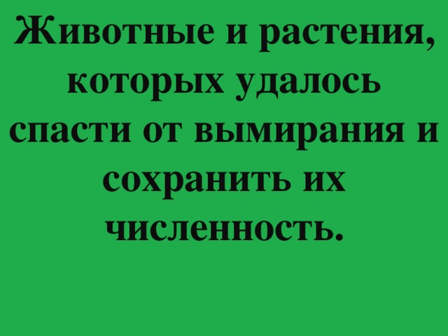 Животные и растения, которых удалось спасти от вымирания и сохранить их численность. 