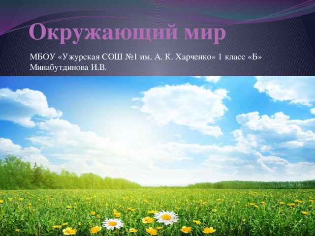  Окружающий мир МБОУ «Ужурская СОШ №1 им. А. К. Харченко» 1 класс «Б» Минабутдинова И.В. 