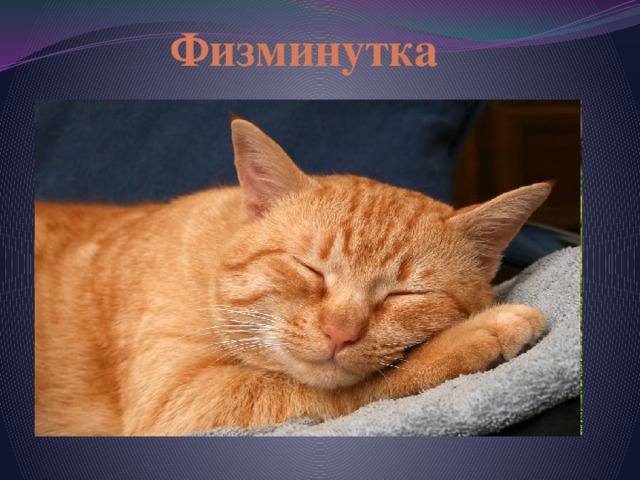 Физминутка 