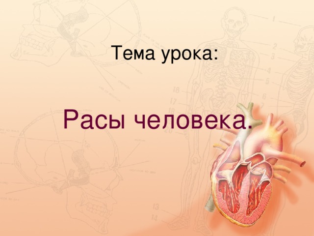 Тема урока: Расы человека. 