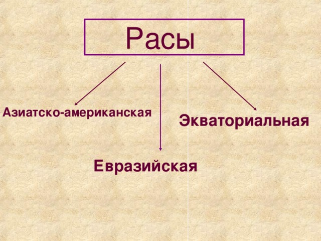 Расы Азиатско-американская Экваториальная Евразийская 