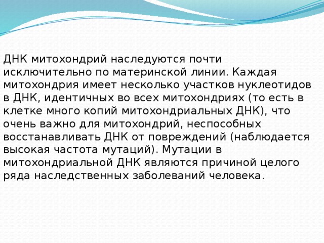 ДНК митохондрий наследуются почти исключительно по материнской линии. Каждая митохондрия имеет несколько участков нуклеотидов в ДНК, идентичных во всех митохондриях (то есть в клетке много копий митохондриальных ДНК), что очень важно для митохондрий, неспособных восстанавливать ДНК от повреждений (наблюдается высокая частота мутаций). Мутации в митохондриальной ДНК являются причиной целого ряда наследственных заболеваний человека. 