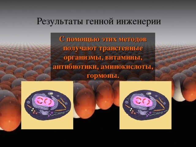 Результаты генной инженерии С помощью этих методов получают трансгенные организмы, витамины, антибиотики, аминокислоты, гормоны. 