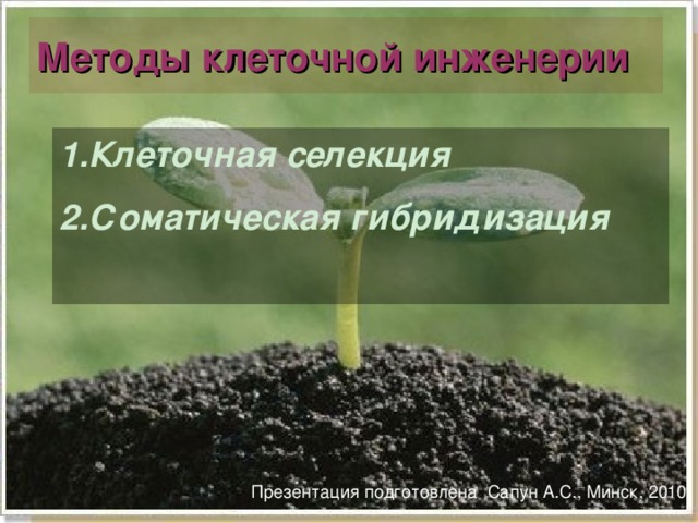 Методы клеточной инженерии Клеточная селекция Соматическая гибридизация  Презентация подготовлена Сапун А.С., Минск, 2010 