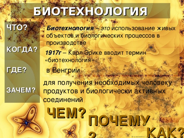 БИОТЕХНОЛОГИЯ ЧТО?  КОГДА?  ГДЕ?  ЗАЧЕМ?  Биотехнология – это использование живых объектов и биологических процессов в производстве 1917г – Карл Эрике вводит термин «биотехнология» в Венгрии для получения необходимых человеку продуктов и биологически активных соединений ЧЕМ? ПОЧЕМУ? КАК? 