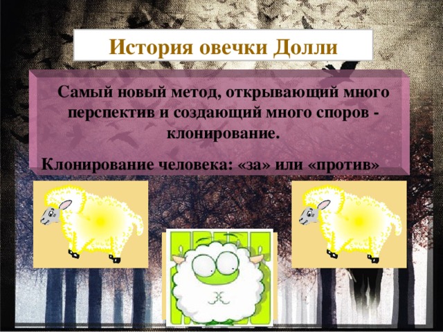 История овечки Долли Самый новый метод, открывающий много перспектив и создающий много споров - клонирование. Клонирование человека: «за» или «против» 