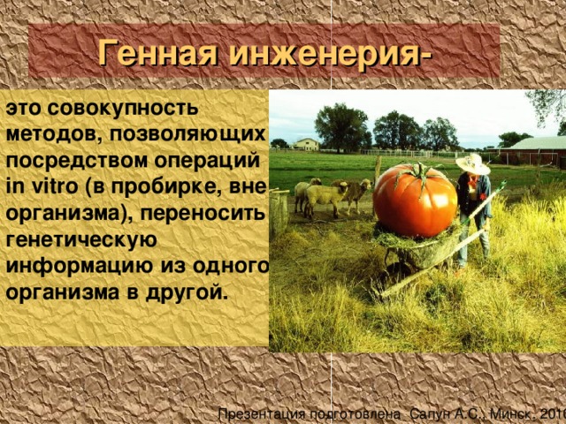 Генная инженерия- это совокупность методов, позволяющих посредством операций in vitro (в пробирке, вне организма), переносить генетическую информацию из одного организма в другой.   Презентация подготовлена Сапун А.С., Минск, 2010 