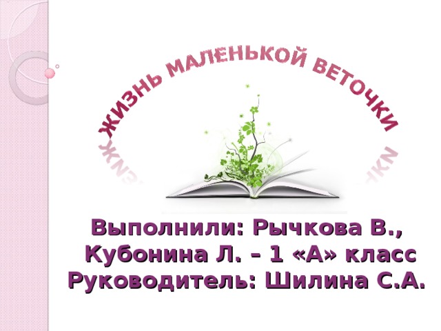 Выполнили: Рычкова В.,  Кубонина Л. – 1 «А» класс  Руководитель: Шилина С.А. 