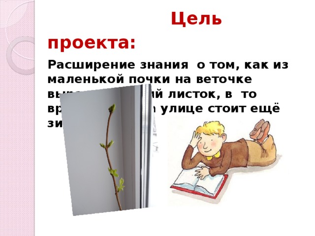  Цель проекта: Расширение знания о том, как из маленькой почки на веточке вырастит целый листок, в  то время когда на улице стоит ещё зима.  
