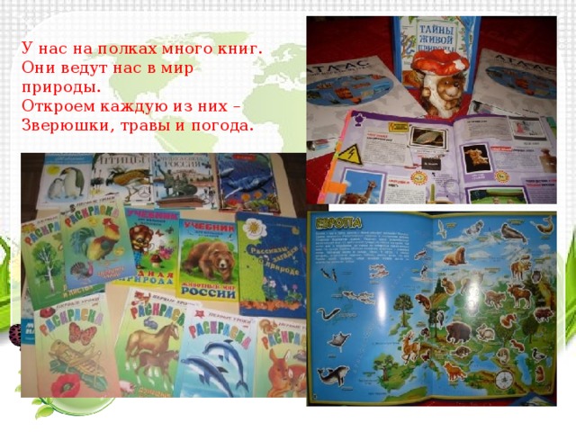 У нас на полках много книг. Они ведут нас в мир природы. Откроем каждую из них – Зверюшки, травы и погода. 