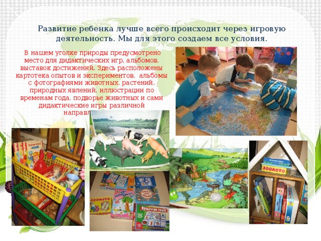Развитие ребенка лучше всего происходит через игровую деятельность. Мы для этого создаем все условия.  В нашем уголке природы предусмотрено место для дидактических игр, альбомов, выставок достижений. Здесь расположены картотека опытов и экспериментов, альбомы с фотографиями животных, растений, природных явлений, иллюстрации по временам года, подворье животных и сами дидактические игры различной направленности. 