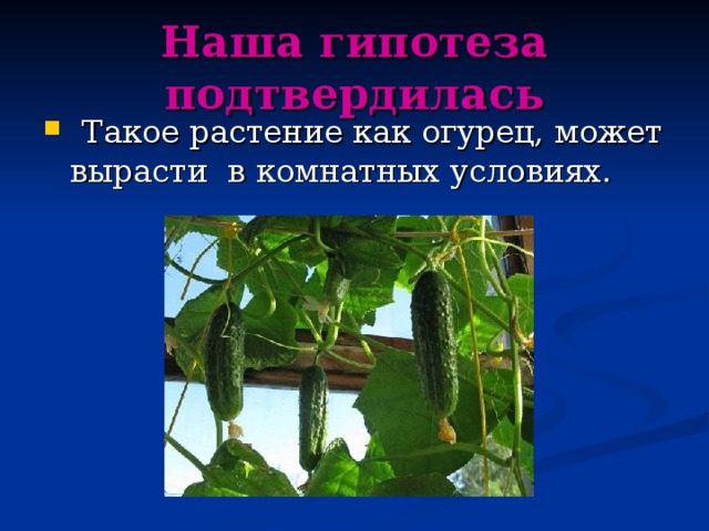 Наша гипотеза подтвердилась