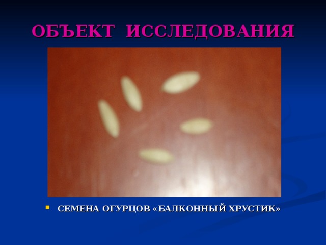 ОБЪЕКТ ИССЛЕДОВАНИЯ