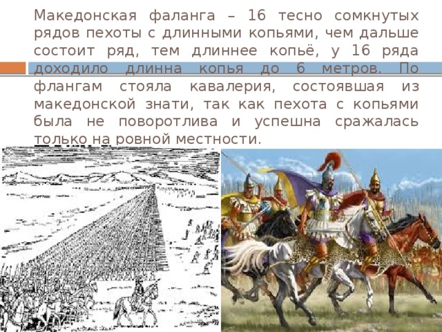 Македонская фаланга – 16 тесно сомкнутых рядов пехоты с длинными копьями, чем дальше состоит ряд, тем длиннее копьё, у 16 ряда доходило длинна копья до 6 метров. По флангам стояла кавалерия, состоявшая из македонской знати, так как пехота с копьями была не поворотлива и успешна сражалась только на ровной местности. 