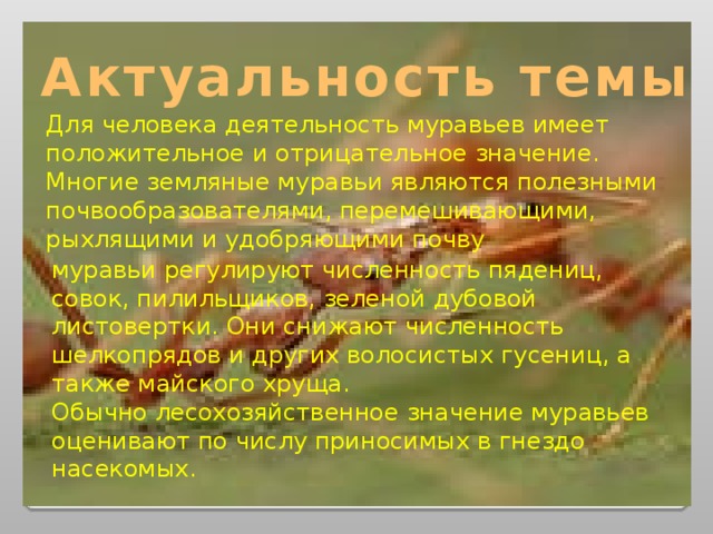 Актуальность темы Для человека деятельность муравьев имеет положительное и отрицательное значение. Многие земляные муравьи являются полезными почвообразователями, перемешивающими, рыхлящими и удобряющими почву муравьи регулируют численность пядениц, совок, пилильщиков, зеленой дубовой листовертки. Они снижают численность шелкопрядов и других волосистых гусениц, а также майского хруща.  Обычно лесохозяйственное значение муравьев оценивают по числу приносимых в гнездо насекомых. 