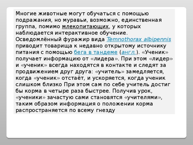 Многие животные могут обучаться с помощью подражания, но муравьи, возможно, единственная группа, помимо млекопитающих , у которых наблюдается интерактивное обучение. Осведомлённый фуражир вида Temnothorax albipennis приводит товарища к недавно открытому источнику питания с помощью бега в тандеме ( англ. ). «Ученик» получает информацию от «лидера». При этом «лидер» и «ученик» всегда находятся в контакте и следят за продвижением друг друга: «учитель» замедляется, когда «ученик» отстаёт, и ускоряется, когда ученик слишком близко При этом сам по себе учитель достиг бы корма в четыре раза быстрее. Получив урок, «ученики» зачастую сами становятся «учителями», таким образом информация о положении корма распространяется по всему гнезду 