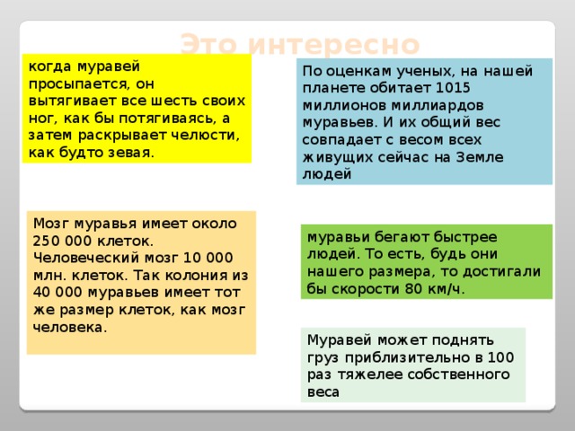Это интересно когда муравей просыпается, он вытягивает все шесть своих ног, как бы потягиваясь, а затем раскрывает челюсти, как будто зевая. По оценкам ученых, на нашей планете обитает 1015 миллионов миллиардов муравьев. И их общий вес совпадает с весом всех живущих сейчас на Земле людей Мозг муравья имеет около 250 000 клеток. Человеческий мозг 10 000 млн. клеток. Так колония из 40 000 муравьев имеет тот же размер клеток, как мозг человека.   муравьи бегают быстрее людей. То есть, будь они нашего размера, то достигали бы скорости 80 км/ч. Муравей может поднять груз приблизительно в 100 раз тяжелее собственного веса 