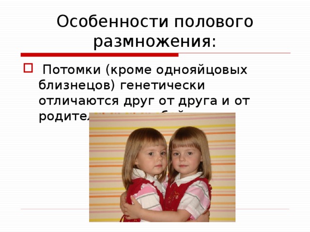 Особенности полового размножения:  Потомки (кроме однояйцовых близнецов) генетически отличаются друг от друга и от родительских особей 