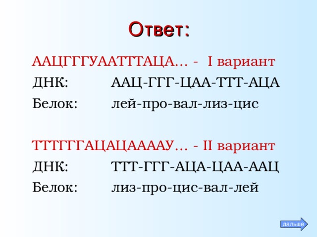 Ответ: ААЦГГГУААТТТАЦА… - I вариант ДНК:   ААЦ-ГГГ-ЦАА-ТТТ-АЦА Белок:  лей-про-вал-лиз-цис  ТТТГГГАЦАЦААААУ… - II вариант ДНК:   ТТТ-ГГГ-АЦА-ЦАА-ААЦ Белок:   лиз-про-цис-вал-лей дальше 