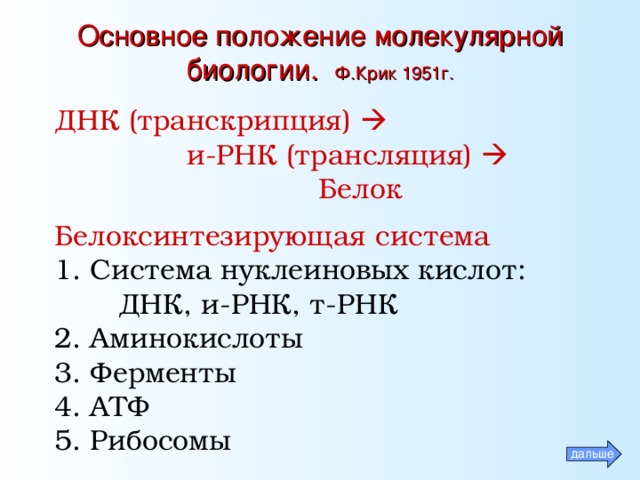 Основное положение молекулярной биологии. Ф.Крик 1951г. ДНК (транскрипция)    и-РНК (трансляция)    и-РНК (трансляция)    и-РНК (трансляция)    и-РНК (трансляция)    Белок   Белок   Белок   Белок   Белок  Белоксинтезирующая система 1. Система нуклеиновых кислот:  ДНК, и-РНК, т-РНК 2. Аминокислоты 3. Ферменты 4. АТФ 5. Рибосомы дальше 