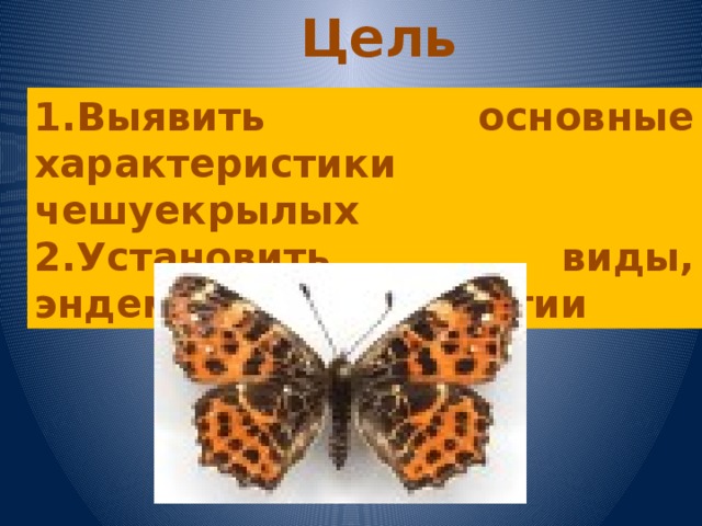 Цель исследования 1.Выявить основные характеристики чешуекрылых 2.Установить виды, эндемичные для Якутии 