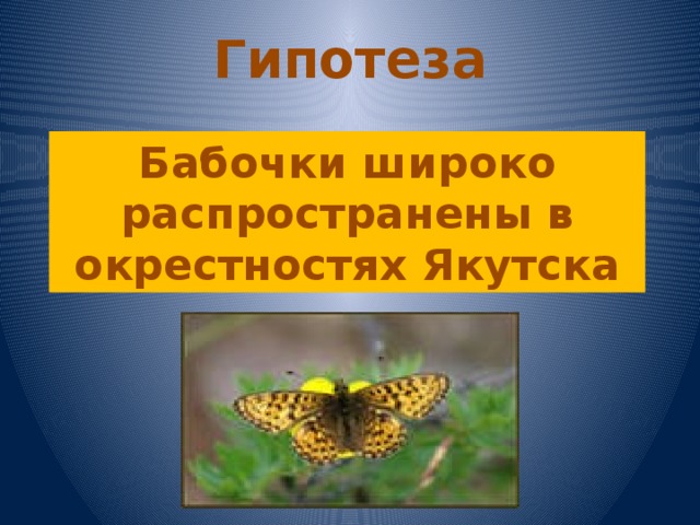Гипотеза Бабочки широко распространены в окрестностях Якутска 