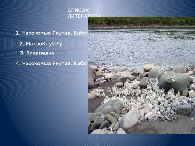 СПИСОК ЛИТЕРАТУРЫ 1. Насекомые Якутии. Бабочки 2. МакроКлуб.Ру 3. Википедия 4. Насекомые Якутии. Бабочки 