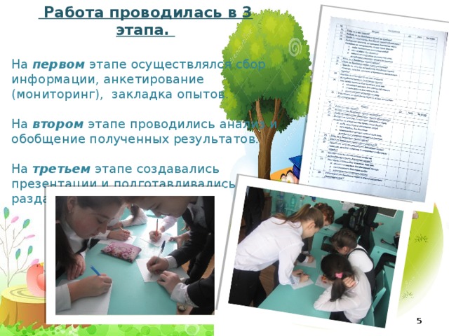 Работа проводилась в 3 этапа. На первом  этапе осуществлялся сбор информации, анкетирование (мониторинг), закладка опытов. На втором этапе проводились анализ и обобщение полученных результатов. На третьем  этапе создавались презентации и подготавливались раздаточные материалы.