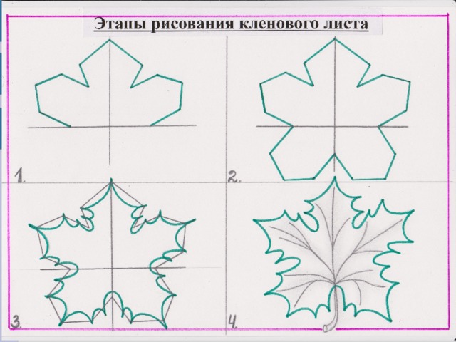 Рисунок кленового листа 