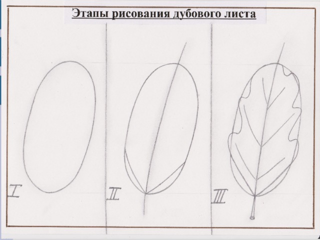 Дубовый лист 
