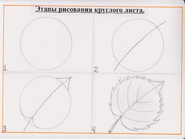 Березового листа 