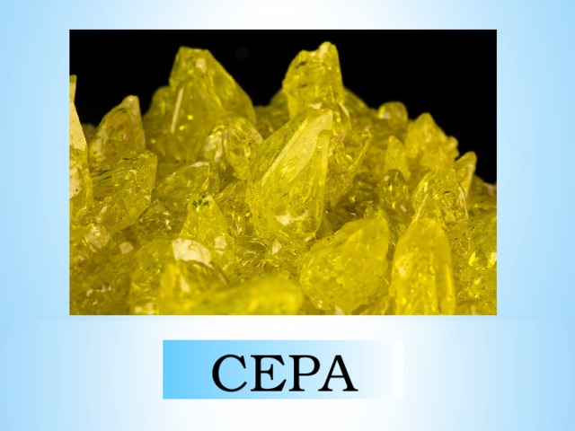 СЕРА 