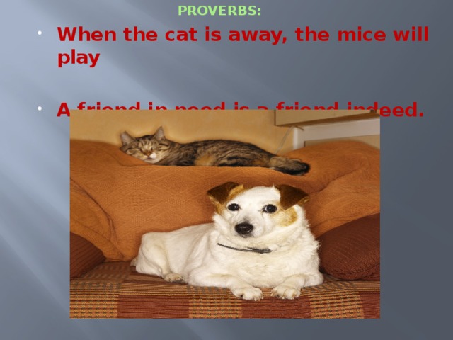 PROVERBS: When the cat is away, the mice will play A friend in need is a friend indeed. 