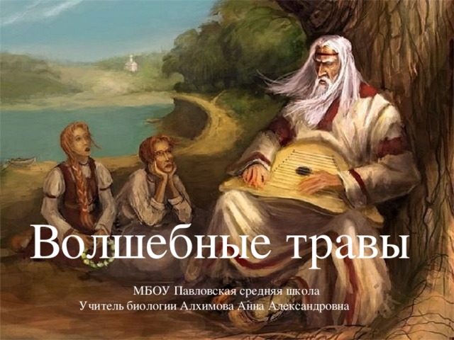 Волшебные травы  МБОУ Павловская средняя школа Учитель биологии Алхимова Анна Александровна 