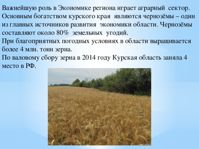 Важнейшую роль в Экономике региона играет аграрный сектор. Основным богатством курского края являются чернозёмы – один из главных источников развития экономики области. Чернозёмы составляют около 80% земельных угодий. При благоприятных погодных условиях в области выращивается более 4 млн. тонн зерна. По валовому сбору зерна в 2014 году Курская область заняла 4 место в РФ. 