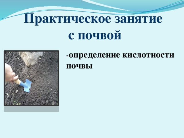 Практическое занятие  с почвой - определение кислотности почвы 