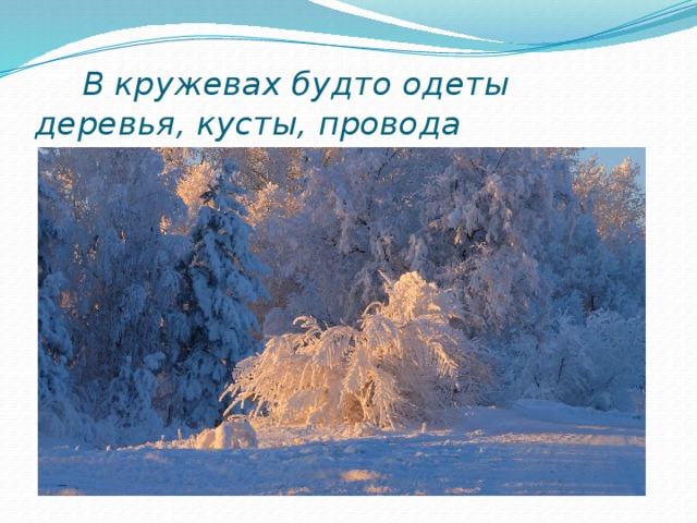  В кружевах будто одеты деревья, кусты, провода 