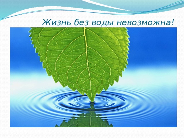  Жизнь без воды невозможна!   